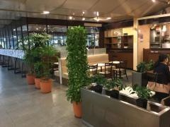 カフェ・ド・クリエ　箱崎町店