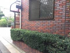 伊藤歯科医院