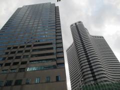 ＥＶＯＬＵＴＩＯＮ　ＪＡＰＡＮ証券株式会社