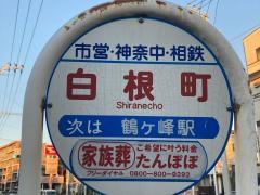 「白根町」バス停留所