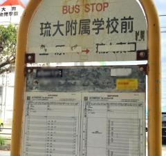 「琉大附属学校前」バス停留所
