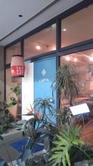 ｃａｐｒａ