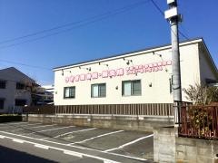 うさぎ整骨院鍼灸院