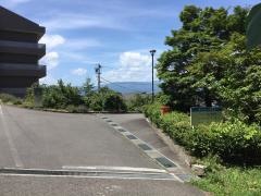 なごみ