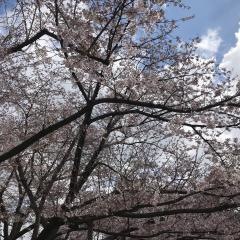 舞鶴公園