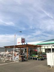 コメリハード＆グリーン　富浦店