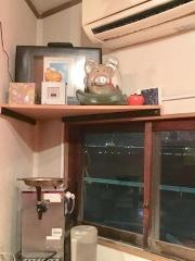 豚子新地