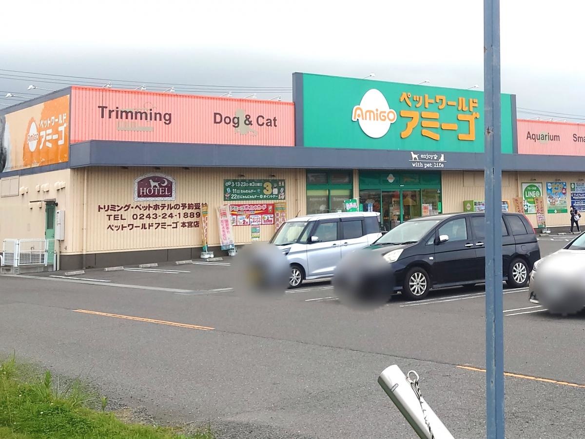 外観