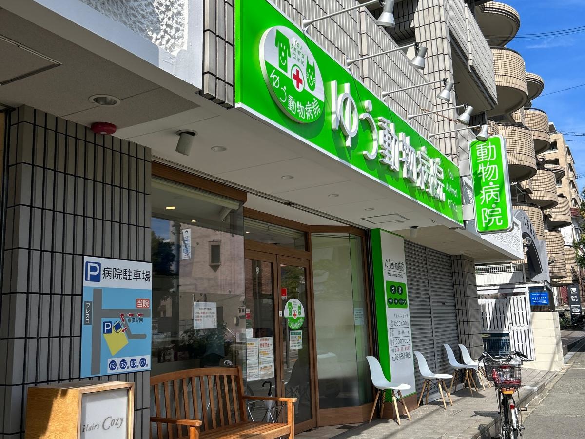外観