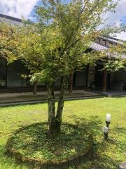 常盤荘別邸霧島津