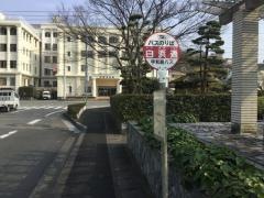 「白浜通(降車専用)」バス停留所