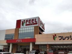 フィール富田店