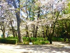 沼津御用邸記念公園