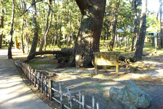 施設写真9