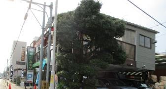 喫茶みどり
