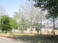 手稲鉄北小学校