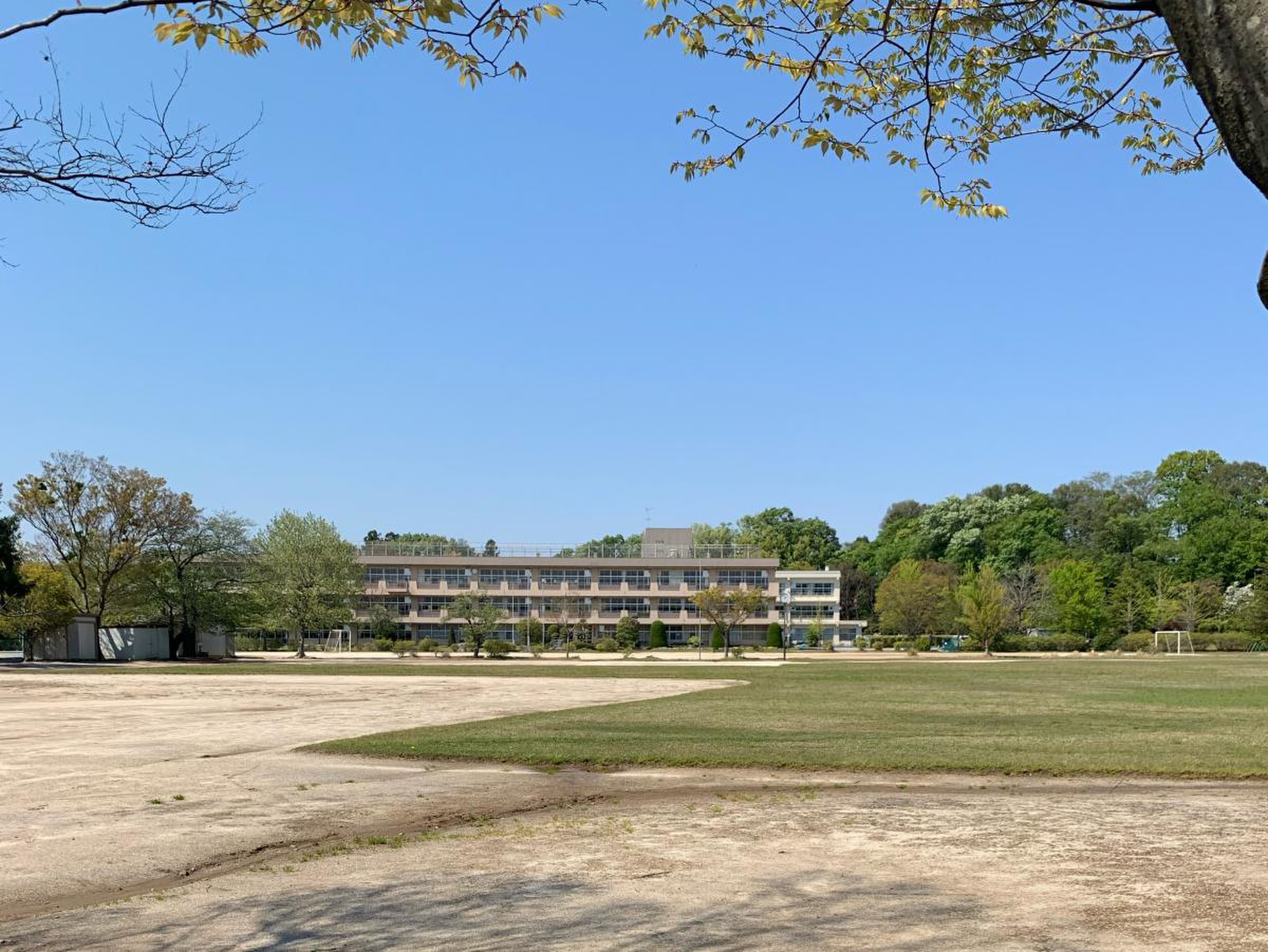 野田 市立 清水 台 小学校