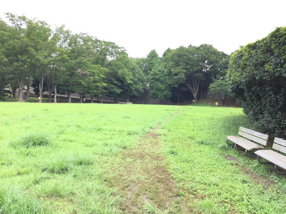 芝生の広場