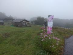 黒姫高原コスモス園