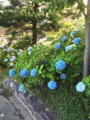 北山緑地