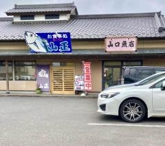 まぐろの山正