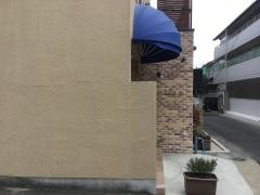 アルディラ