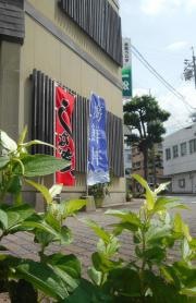 一松