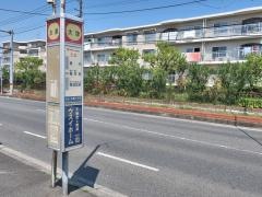 「大津」バス停留所