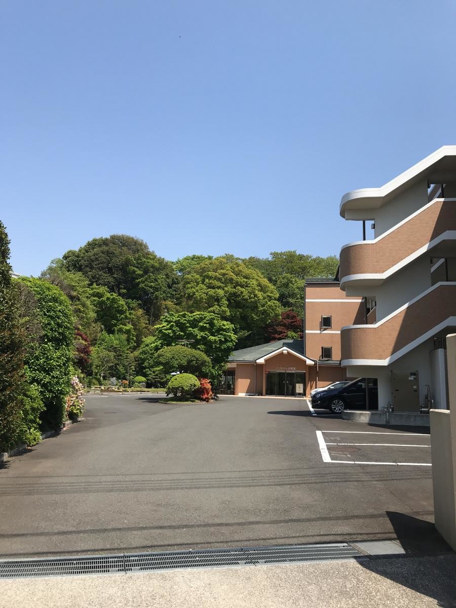 フェルマータ和泉