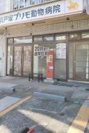 プリモ動物病院・横浜戸塚