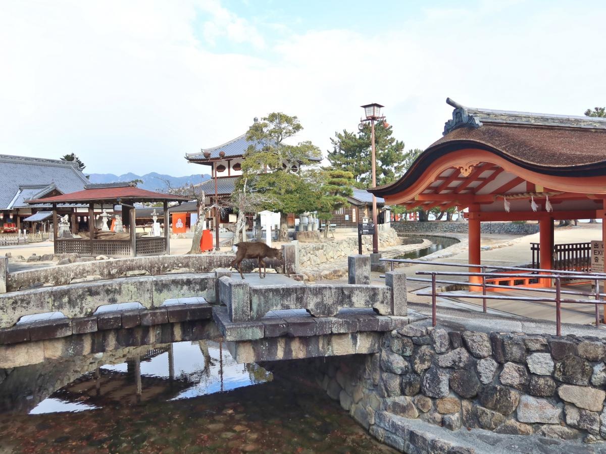 大願寺