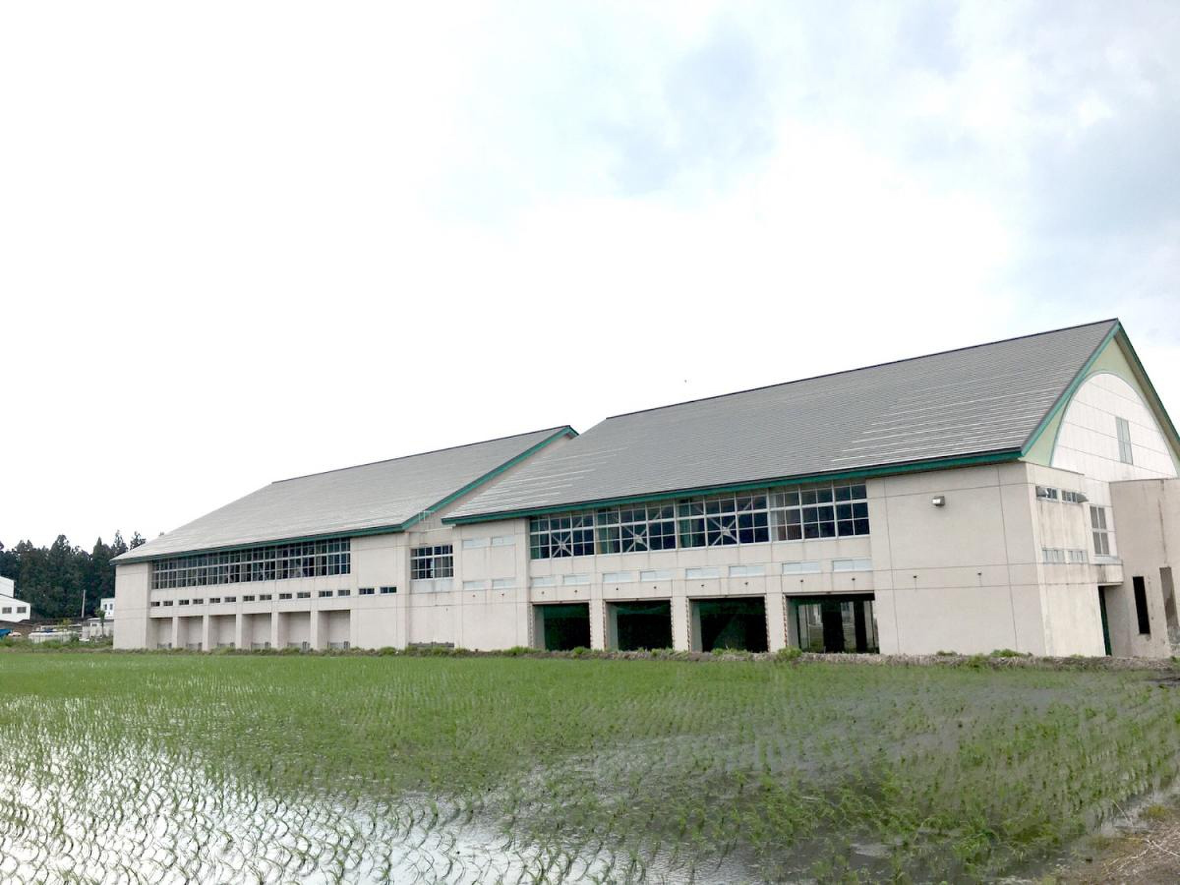 新潟 県立 国際 情報 高等 学校