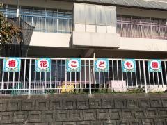 梅花こども園