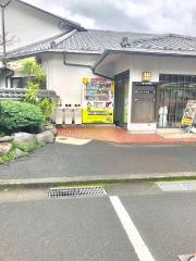 知覧パラダイス