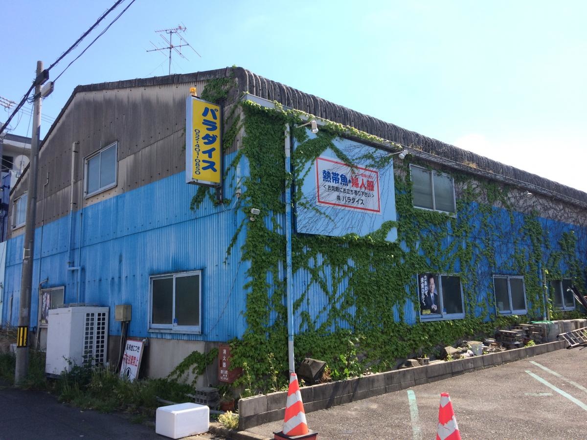 アクアクラブパラダイス