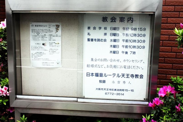 投稿写真7