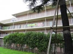 マイルドハート高円寺