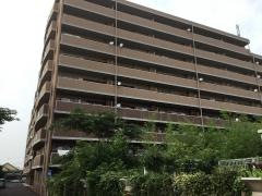 学研　井野星の散歩道教室