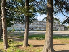 中新田小学校