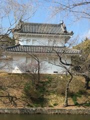 亀城公園