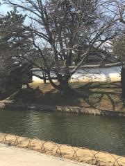 亀城公園