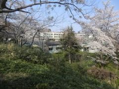 上越教育大学附属中学校