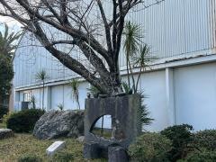 常滑市立青海中学校