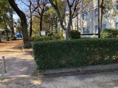 真締川公園