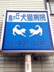 鳥が丘犬猫病院