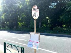 「武蔵野大学」バス停留所