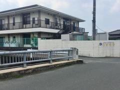 こすもす