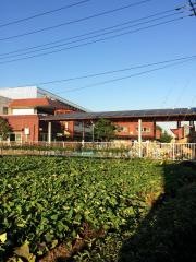 めぐみ保育園
