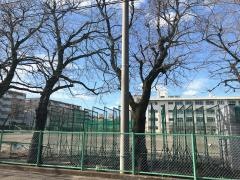 相模原市立共和中学校