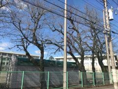 相模原市立共和中学校